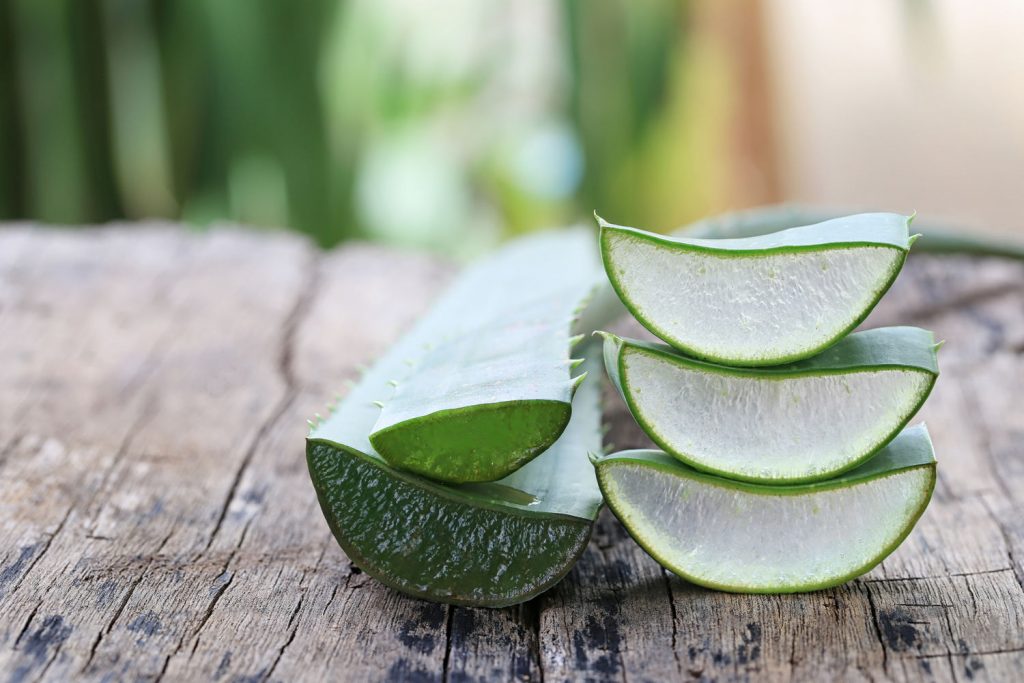 Aloe Vera Srbija - Aloja na prirodan nain