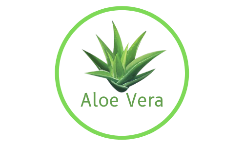 Aloe Vera Srbija - Aloja na prirodan nain